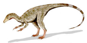 Artist drawing of Compsognathus